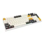 Bàn phím máy tính gaming cơ có dây Asestek AK98 grey white