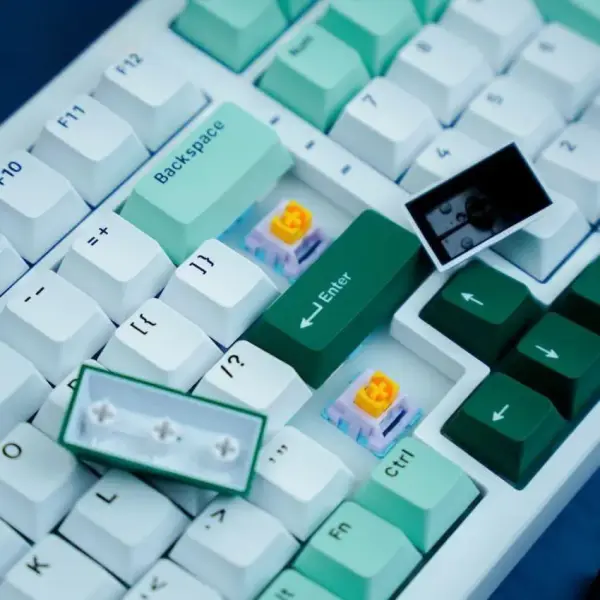 Bàn phím máy tính gaming không dây Sorex SK98W Green Wild Rgb 3 mode