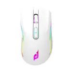 Chuột máy tính gaming không dây E-Dra EM624W