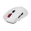 Chuột máy tính gaming không dây E-Dra EM625X Max White