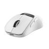 Chuột máy tính gaming không dây ThunderBird TM620W White