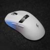 Chuột máy tính gaming không dây ThunderBird TM620W White