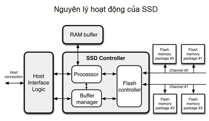 nguyen-ly-hoat-dong-o-cung-ssd