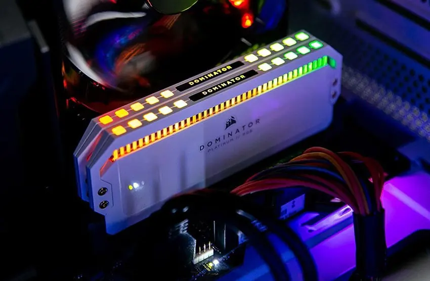 ram-bo-nho-trong-02