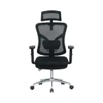 Ghế công thái học Ergonomic E-Dra EEC212