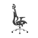 Ghế công thái học Ergonomic E-Dra EEC220